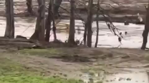 Over the weekend parts of North Carolina flooded because of rain. It washed away temporary...