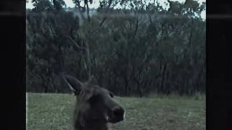 😨👺 The Scariest Thing I've Ever Seen! Paranormal Encounter | TheHauntingHour