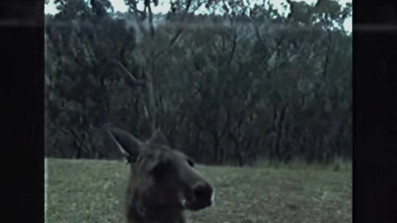 😨👺 The Scariest Thing I've Ever Seen! Paranormal Encounter | TheHauntingHour