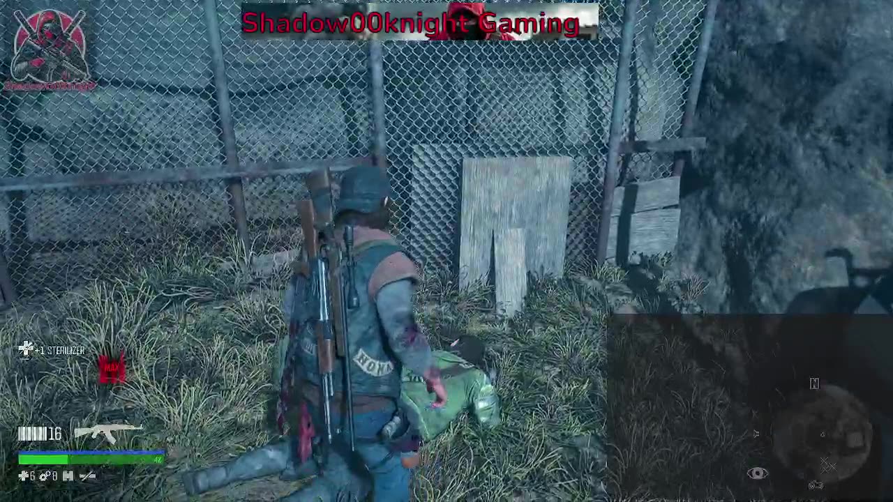 Halloween 2025 days gone night 3