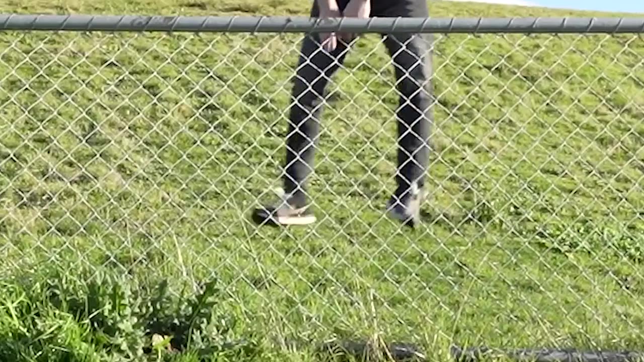 How Animals Get Over a Fence (With Emojis)