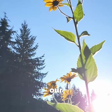 Let The Light Into Your Soul