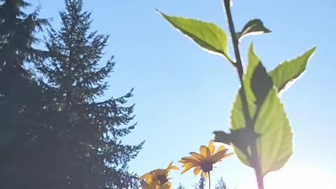Let The Light Into Your Soul