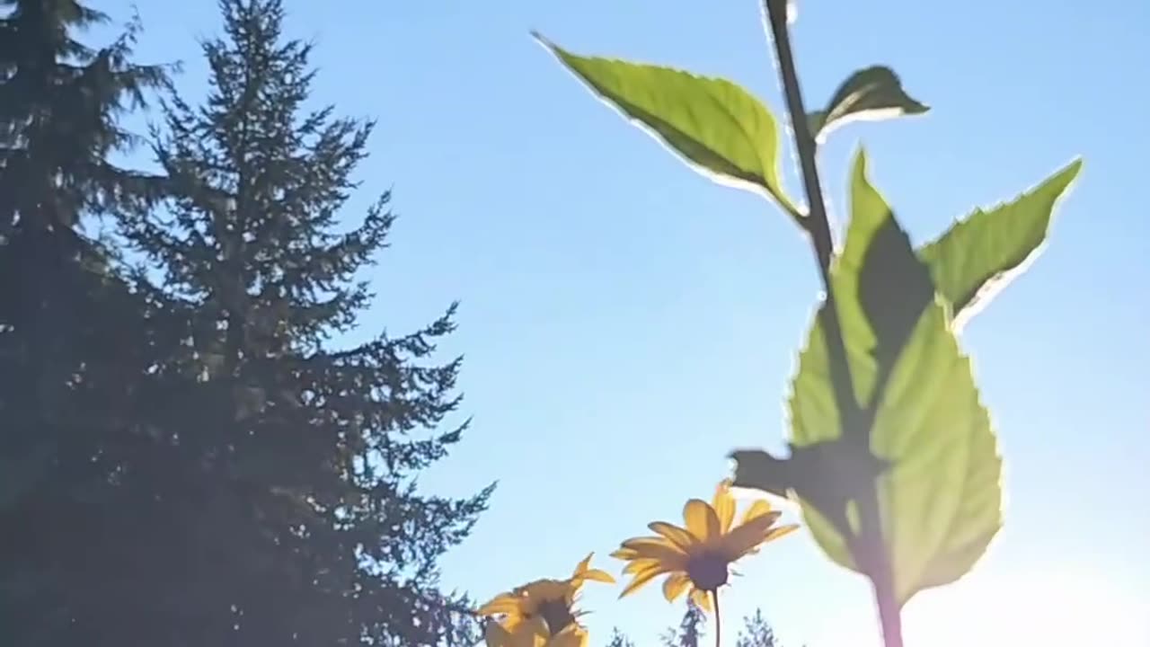 Let The Light Into Your Soul