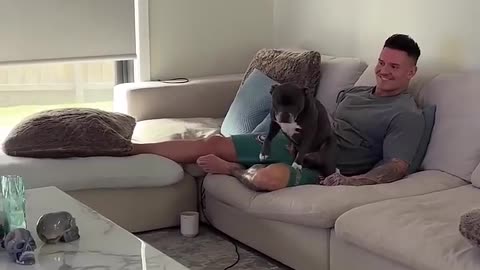 Funny Animal part 1