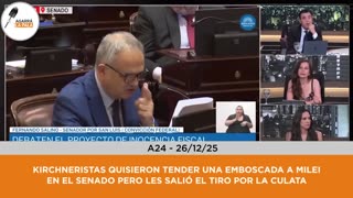 Kirchner supporters tried to ambush Milei in the Senate