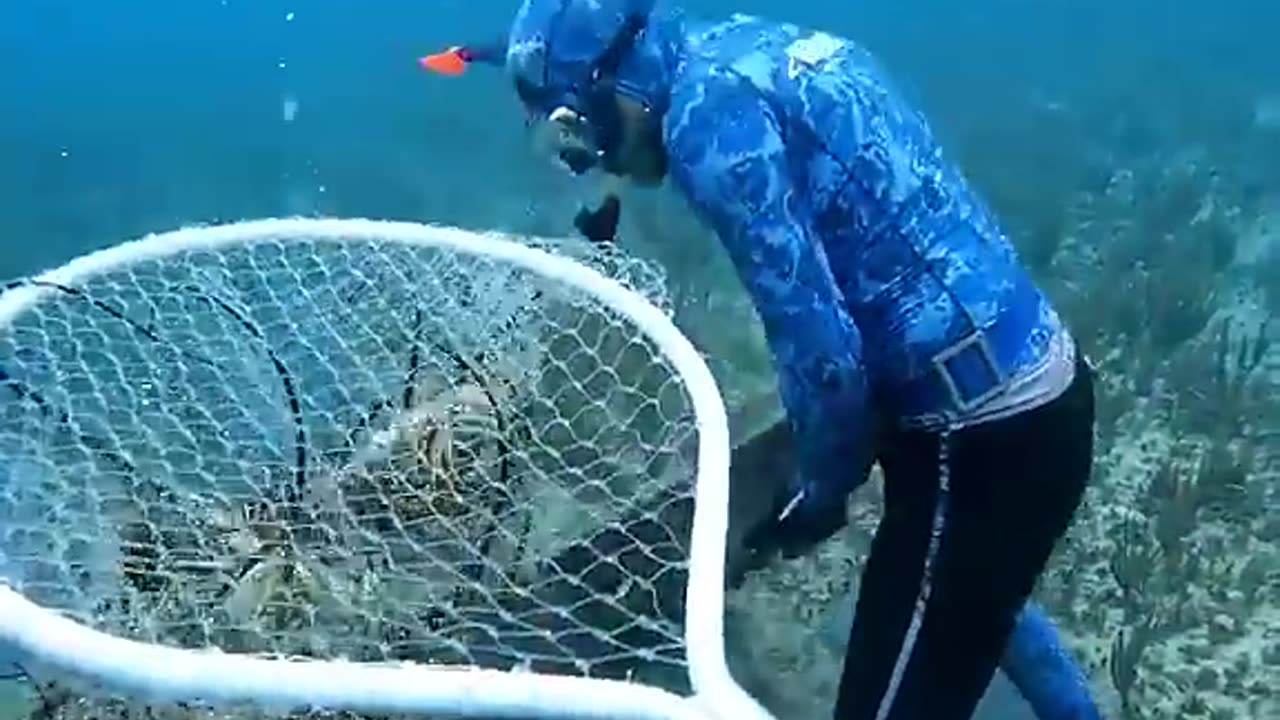 Come_fishing_lobster