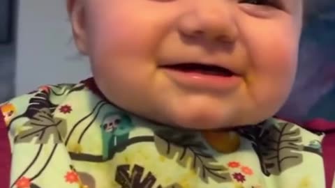 funny videos