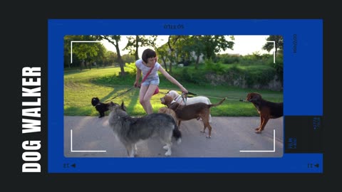 Dog Walker