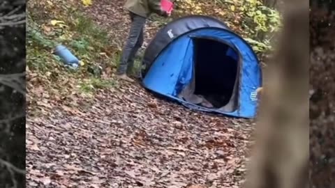 Terrifying Camping video