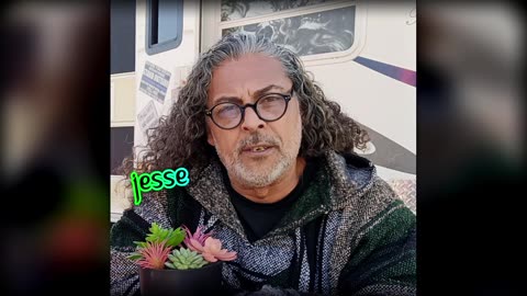 Narcissist Chronicles