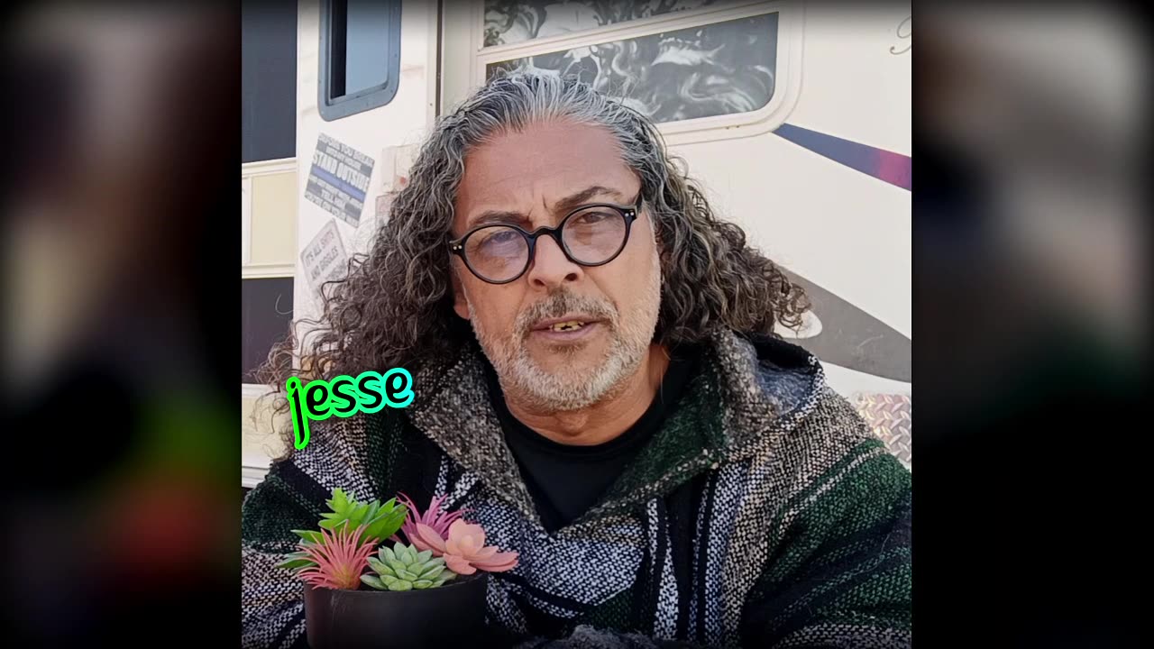 Narcissist Chronicles