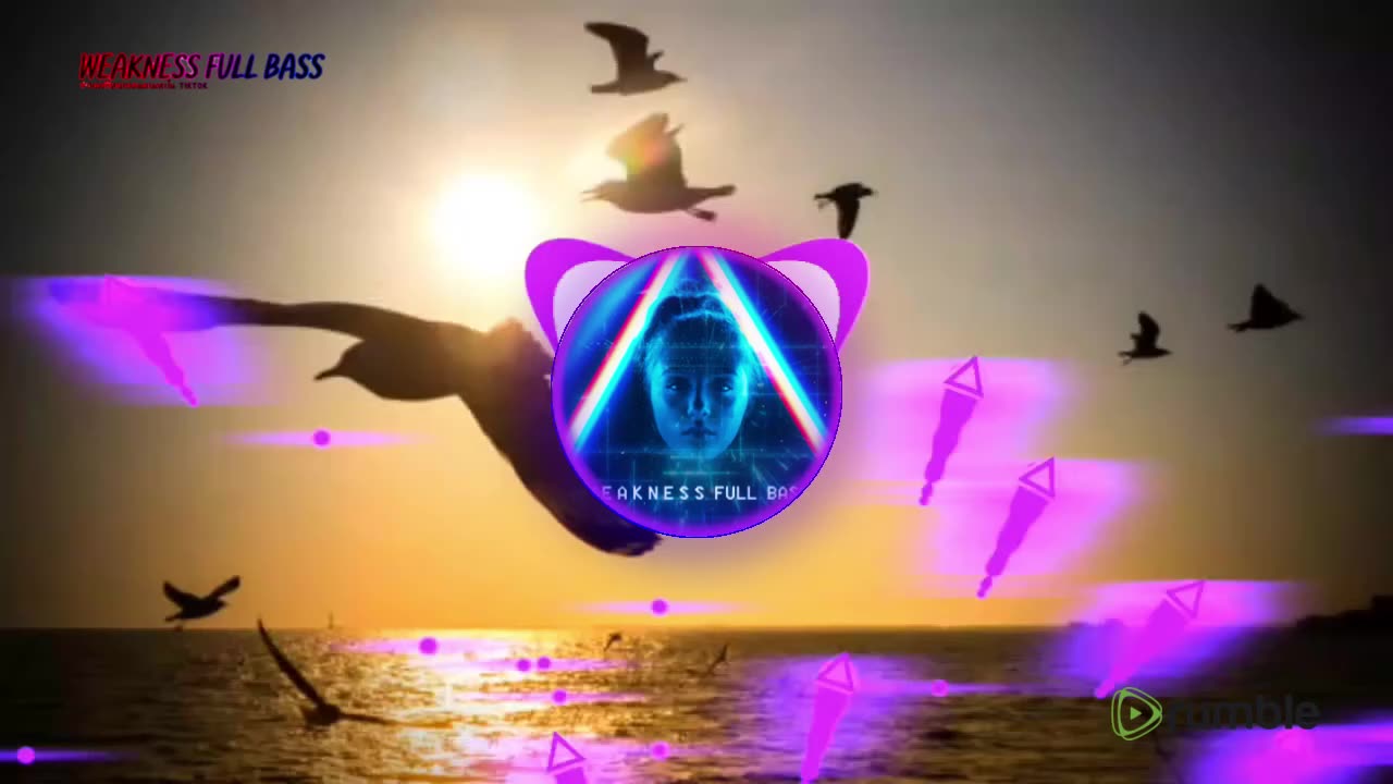 DJ UNSTOPPABLE ANALOG BASS REMIX