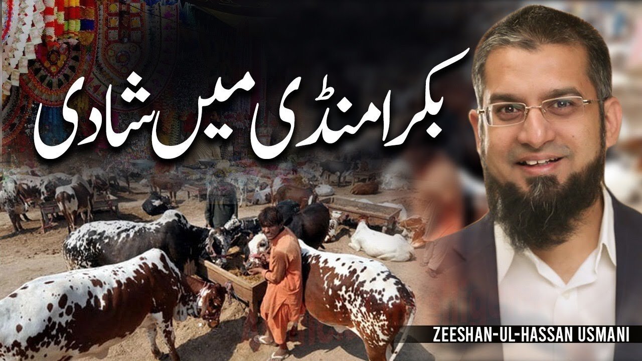 Marriage Proposals and Bakra Mandi | بکرا منڈی میں شادی | Zeeshan Usmani