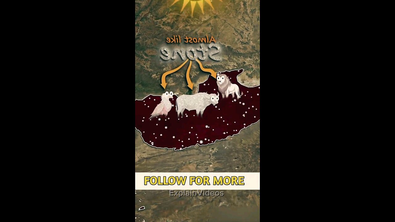 The African lake that can trun anything into Stone