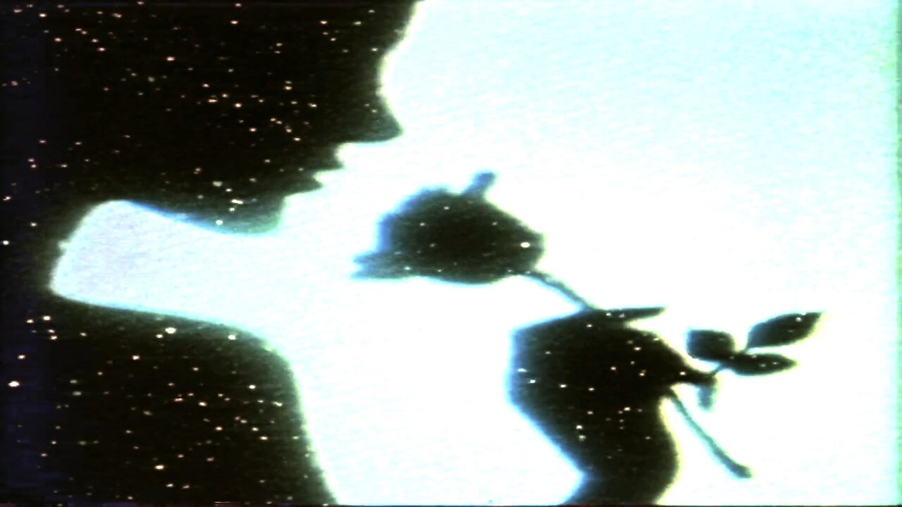 a wind named amnesia