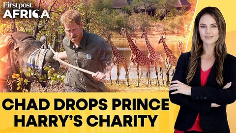 Chad Ends Ties With Prince Harry’s African Parks Wildlife Group Over Poaching |Firstpost Africa