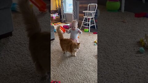 Adorable Fluffy Cat Helps Baby Take First Steps!! 😹✨💕