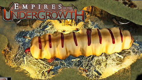 What Is This Creature?! Empires Of The Undergrowth Part 14