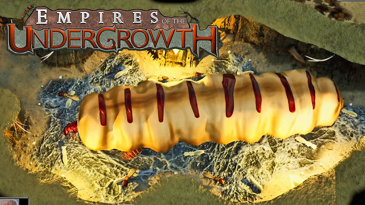 What Is This Creature?! Empires Of The Undergrowth Part 14