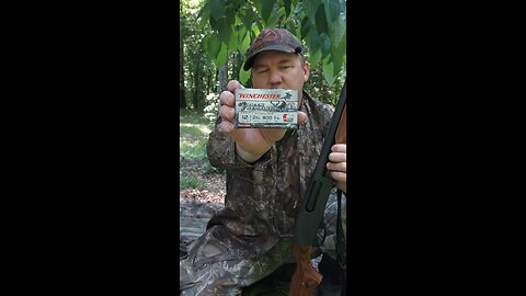 Winchester Deer Season standard 12ga rifled slugs