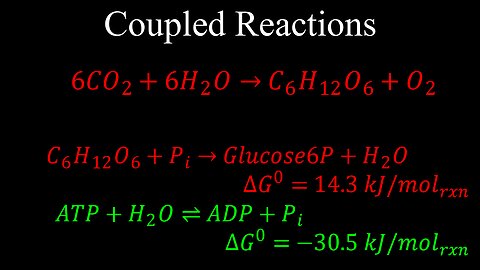 Coupled Reactions, Thermodynamic Favourability - Chemistry