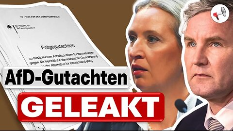 AfD: 1.000-seitiges Verfassungsschutz-Gutachten veröffentlicht | Satire