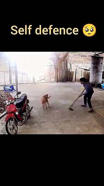 Self defence 🥺