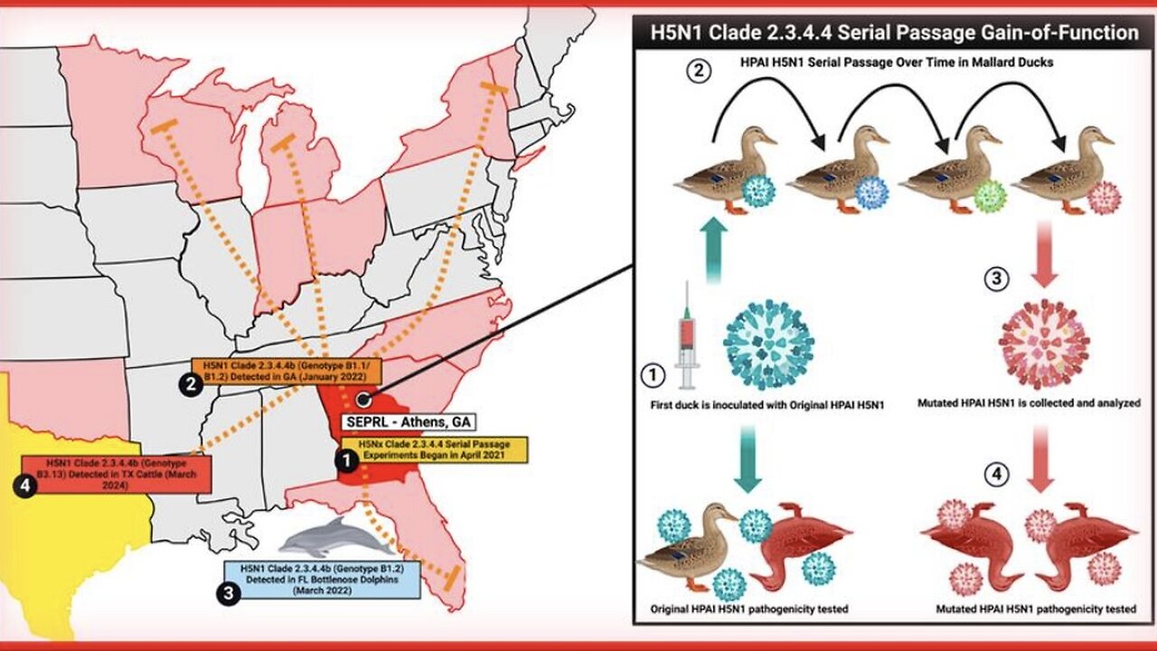 BREAKING EXCLUSIVE: Current Bird Flu Strain Is Product Of Gain-Of-Function Research In Georgia BioLab—Dr. Peter McCullough Raises The Alarm!