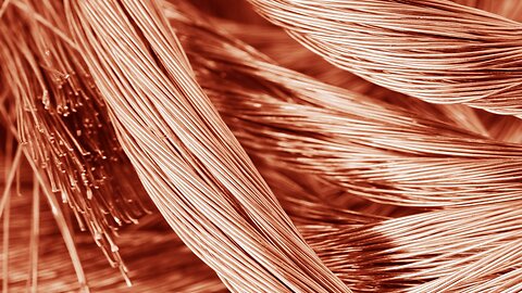 TRUMP'S VIZSLA - VERY INTERESTING