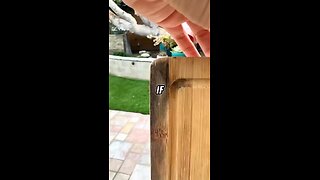 Love All Life Always #284 - Great Cutting Board Cleaning Hack - Simple and Easy To Do...