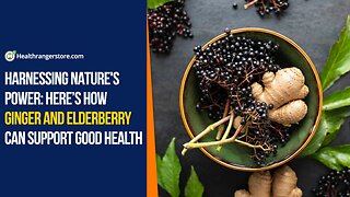 Harnessing nature's power: Here’s how Ginger and Elderberry can support good health
