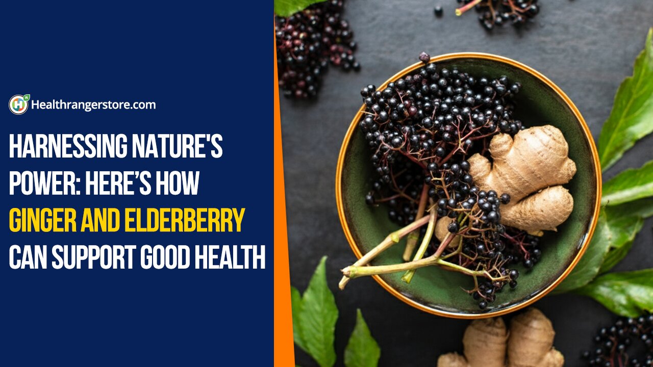 Harnessing nature's power: Here’s how Ginger and Elderberry can support good health