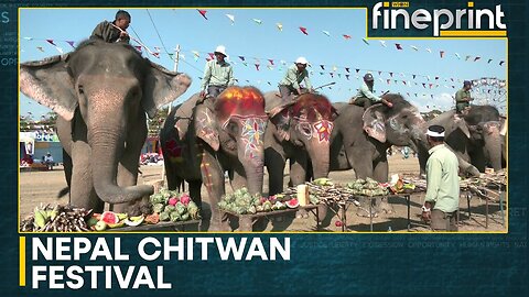 Elephant Festival Kicks Off In Chitwan, Nepal | WION Fineprint | World News