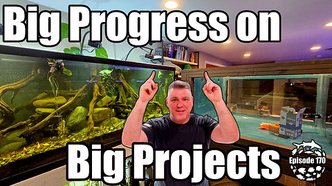 New River Tank, 800 Gallon Cube & 1500 Asian Jungle System Updates