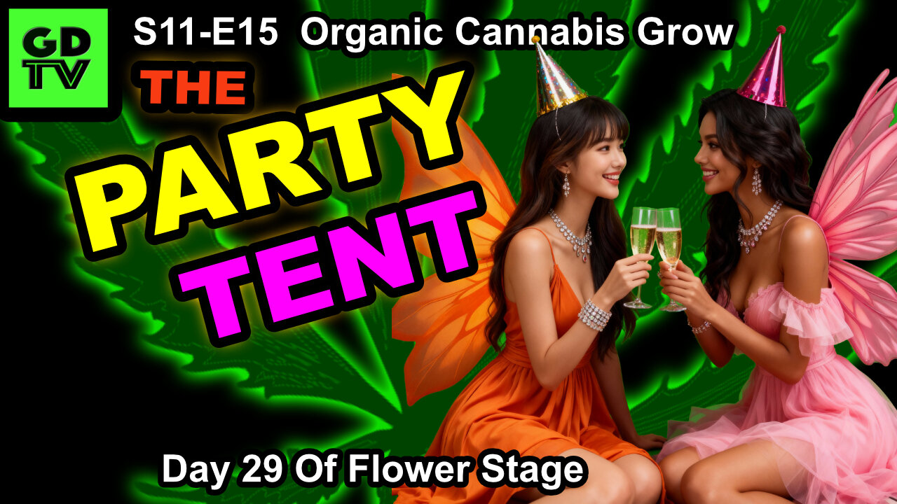 S11-E15 - Day 29 of Flower - Cannabis Grow – Party In Tent 2 – Runtz & Biscotti - Mars Hydro FC4000