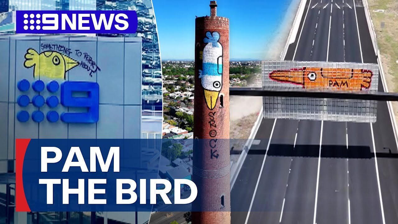 Police unravel mystery behind Pam the Bird painted across Melbourne | 9 News Australia