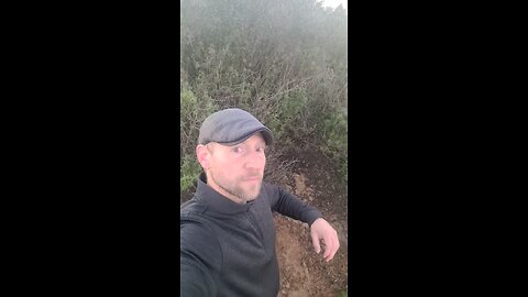 Finally BECOMING - Neptune enters Aries ♈️