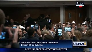 Capitol Police Pick Up And Carry Out Protester During Hegseth's Confirmation Hearing