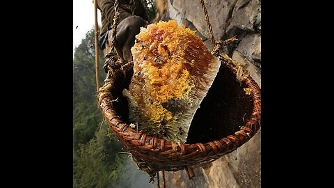 The Green Pill #117: Mad Honey [Live Review Guys Grape Drink]