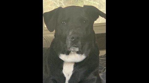 West Virginia fall 2025