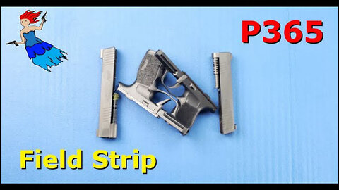 SIG P365 FIELD STRIP // How to field strip the Sig P365, Sig P365 XL, Sig P365 SAS
