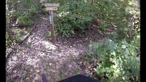 Spring Lake Park MTB trail - "Baby Rat"