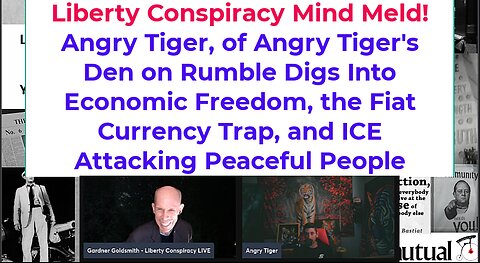 Liberty Mind Meld: Angry Tiger on US Economy, Govt Spending, ICE Police State