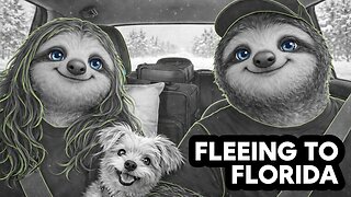 Driving to Florida to Escape the Ice Storm