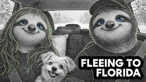 Driving to Florida to Escape the Ice Storm