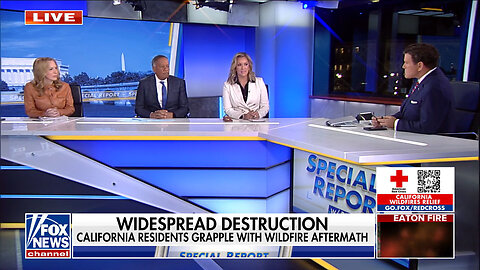 Juan Williams: A Politically Motivated View Of The Fires Is 'Not Productive'