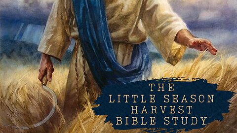The Little Season Harvest ~ Bible Study with Biblically Based and Donica Tibbetts