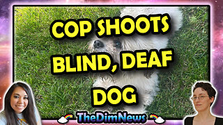 TheDimNews LIVE: Missouri Cop Kills Blind, Deaf Dog | 15-Year-Old Boy Dies in Prank
