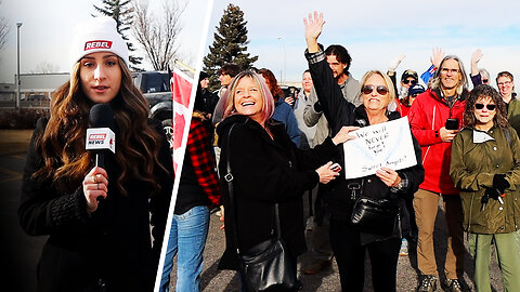 Canadians protest CFIA after controversial cull of hundreds of ostriches in B.C.